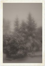 DSC_1475 -1 pinhole sm.jpg
