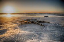 017_6140_HDR_web.jpg