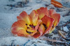 017_6216_HDR_web.jpg