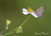 DSC_6278.jpg