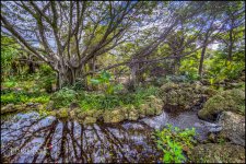 2-12-17 DFB Arbor ReDo-1sm.jpg