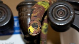 DSC_7389.jpg