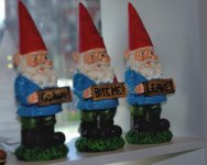 DSC_1808 -1 Nasty Gnomes SM.jpg