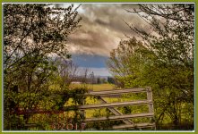 After church walk-1624-Edit.jpg