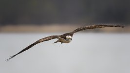 _DSC1617-Edit.jpg