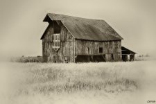 DSC_0370_1.jpg