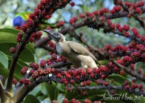 DSC_6562.jpg