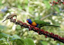DSC_6574.jpg