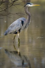 DHP_9446-Edit-2.jpg