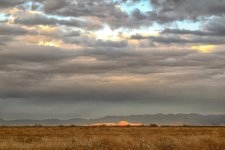 3-27-17-cr_DSC_5214.jpg