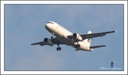 bangkok-air-1.jpg