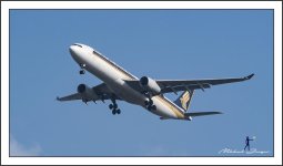 singapore-airlines-1.jpg