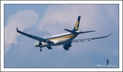 singapore-airlines-2.jpg