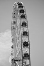 DSC_0345-XL.jpg