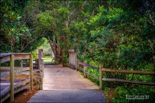 3-28-17 DFB Arbor -1-5.jpg
