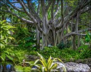 3-28-17 DFB Arbor -1-9.jpg