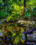 3-28-17 DFB Arbor -1-10.jpg