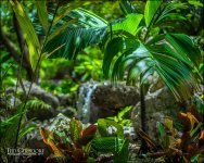 3-28-17 DFB Arbor -1-12.jpg