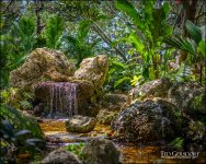 3-28-17 DFB Arbor -1-13.jpg