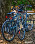 3-28-17 DFB Arbor -1-16.jpg