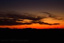 3-29-17-cr_DSC_5225.jpg
