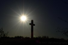 3-30-17-cr_DSC_5257.jpg