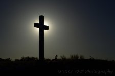 3-30-17-cr_DSC_5262_01.jpg