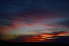 3-31-17-cr_DSC_5271.jpg