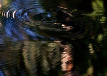 DSC_6676.jpg