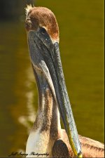 DSC_9676.jpg