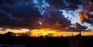 Sunset #1 4-1-2017.jpg