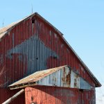 DSC_8026.jpg