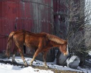 DSC_8030.jpg