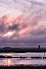 _IVA9973-Edit.jpg