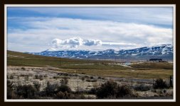 DSC_4919.jpg