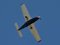 ROY_1707.JPG
