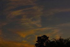 4-3-17-cr__D7K6288.jpg