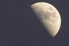 4-3-17-cr__D7K6293.jpg