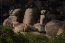 4-4-17-cr__D7K6295.jpg