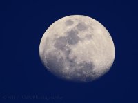 4-7-17-cr__D7K6384.jpg