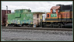 1-DSC_7103.jpg