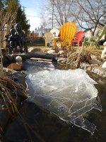 DSC_2274+backyard various-0004+wide ice tall -0001.jpg