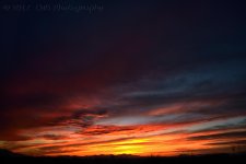 4-9-17-cr_DSC_5289.jpg