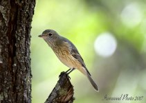DSC_7201.jpg