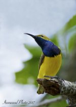 DSC_7279.jpg