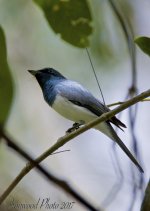 DSC_7216.jpg