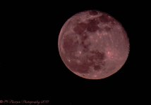 Pink Moon #1 4-12-2017.jpg