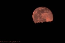 Pink Moon #2 4-12-2017.jpg