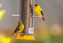 _DSC0029-Edit.jpg