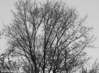 DSCN1862.jpg